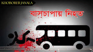 ফেনীতে বাসচাপায় দুই ভাই নিহত